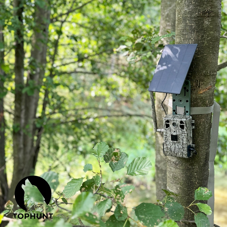 800af3fe1dd933d01ba1a4220a77f411